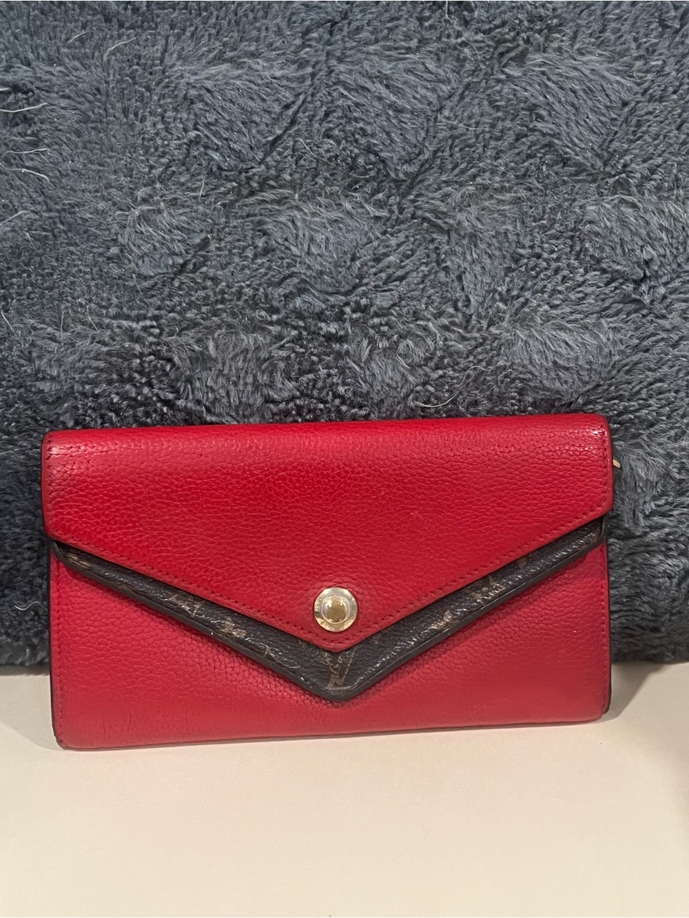 Louis Vuitton Double Flap Wallet